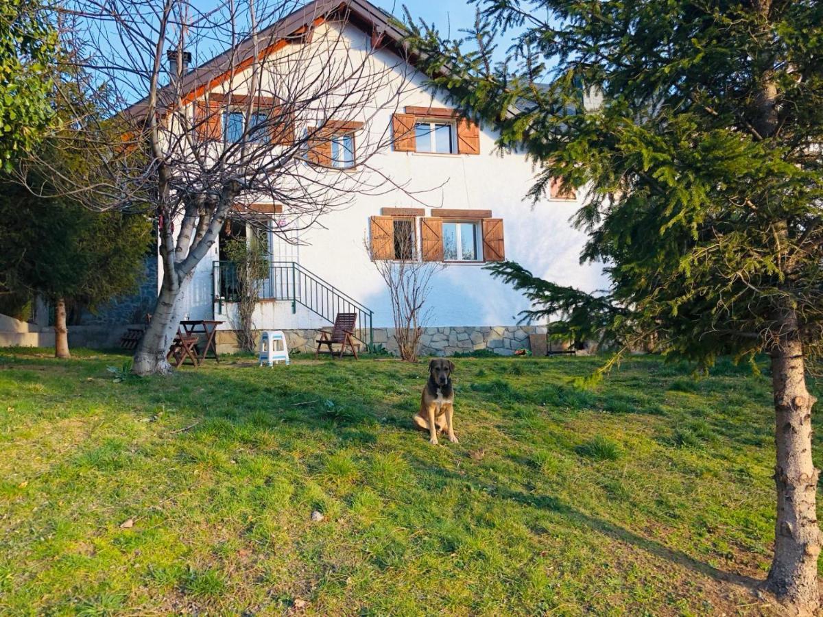 Casa Con Jardin, 4 Habitaciones Y Mucho Encanto En Cercedilla Buitenkant foto